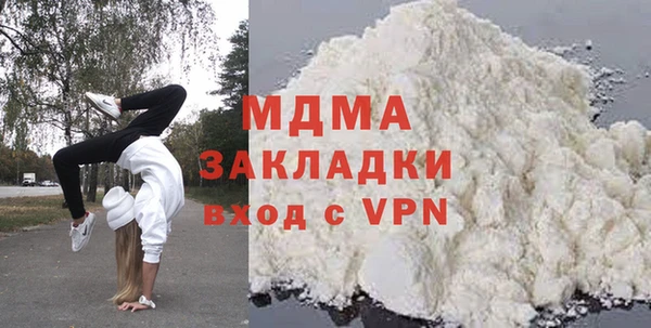 индика Новодвинск