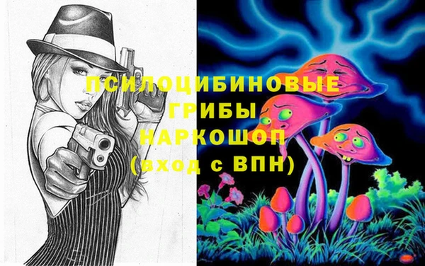 гидра Аркадак